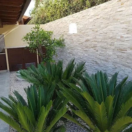 Aloe Comfort לינה וארוחת בוקר סן ויטו לו קאפו