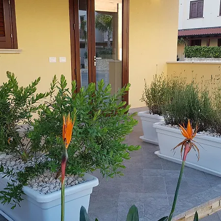 Aloe Comfort 4* סן ויטו לו קאפו