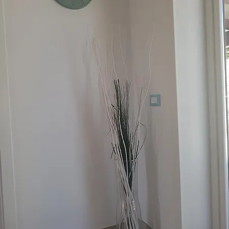 Aloe Comfort Frühstückspension San Vito Lo Capo